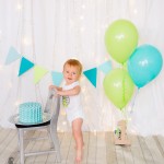 themed cake smash photography london ontario