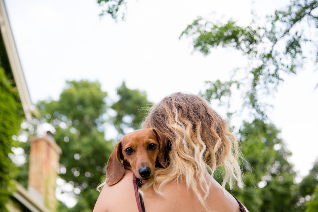 Best of 2015: Pet Photography Sessions London Ontario