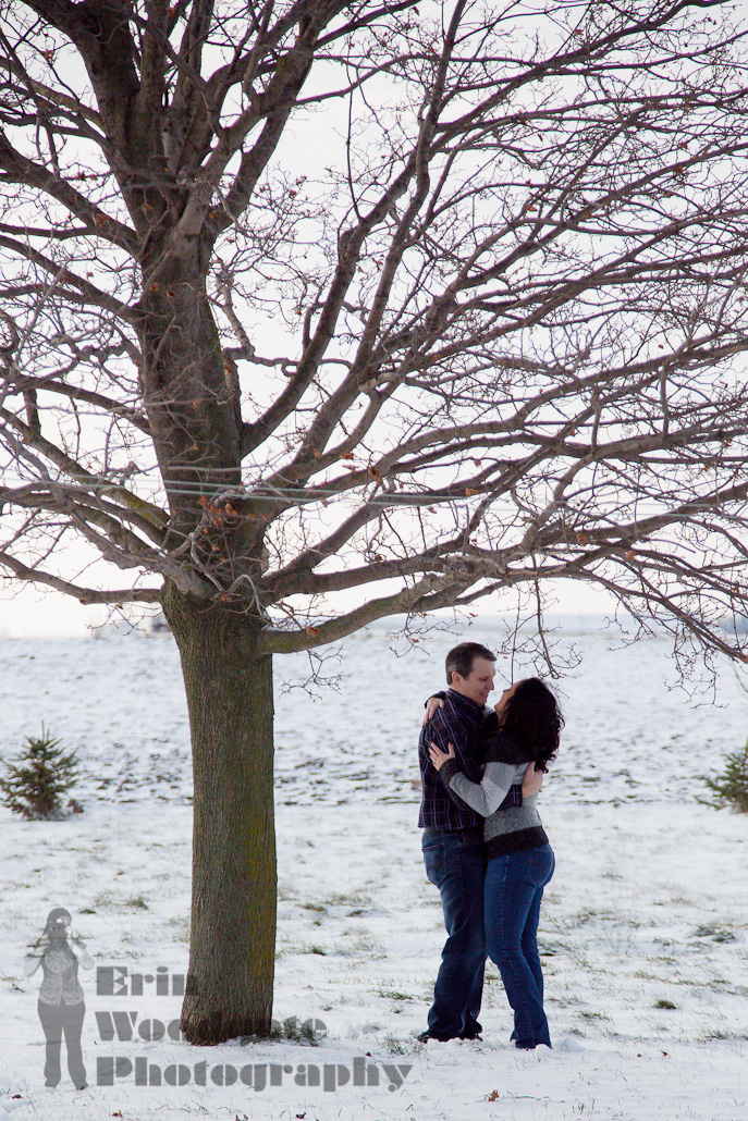 Winter engagement photography arva ontario