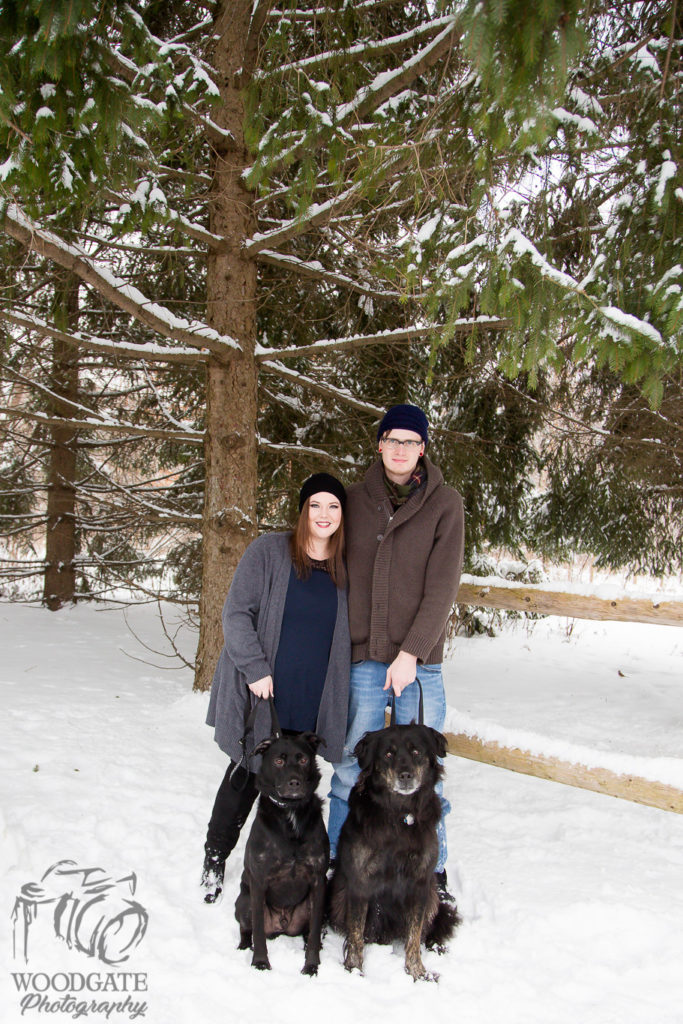 Winter Engagement Photography with Dogs London Ontario