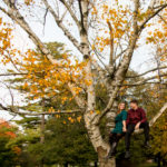 fall engagement photographer London Ontario