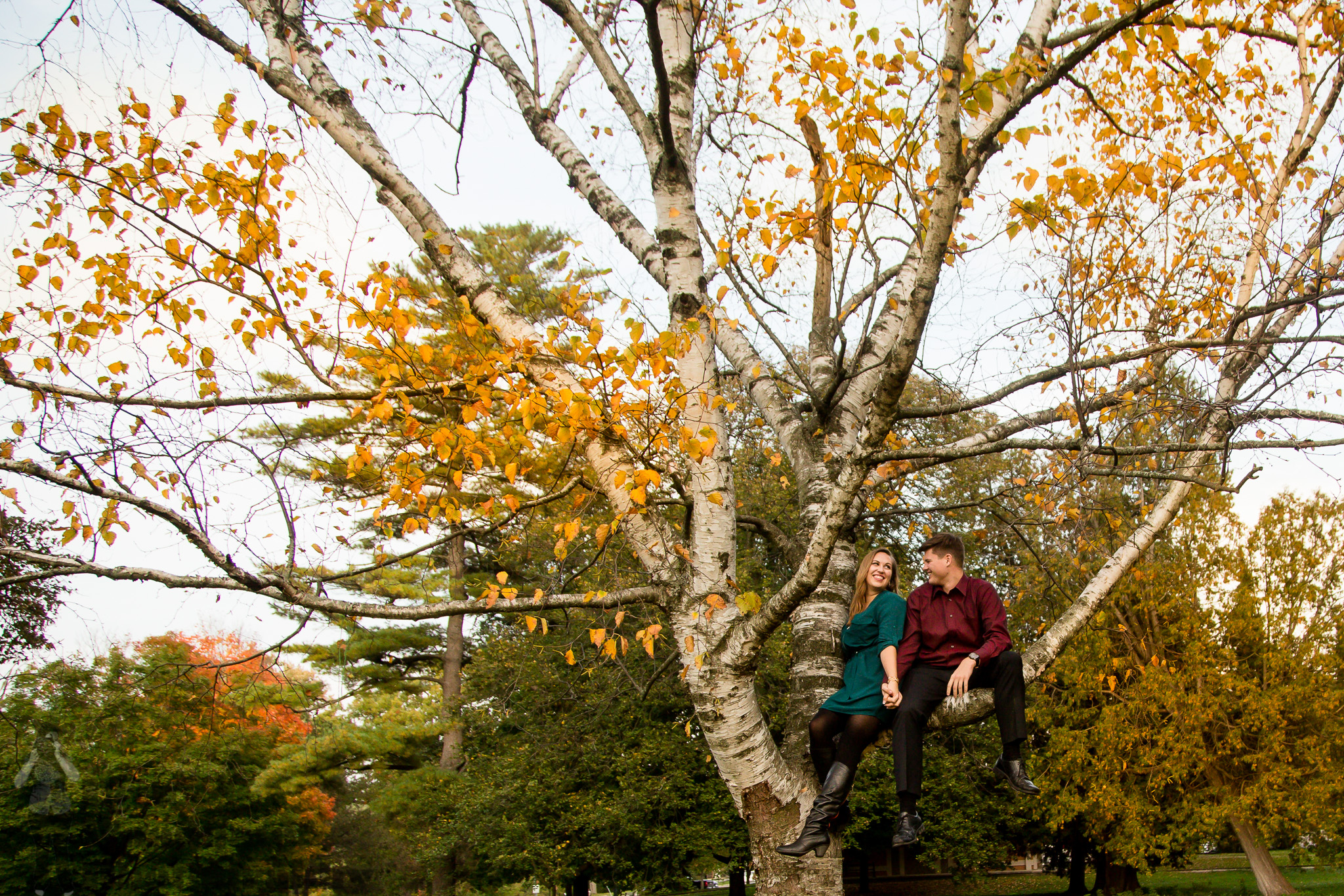 fall engagement photographer London Ontario