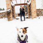 Winter Engagement Photography with Pets London Ontario