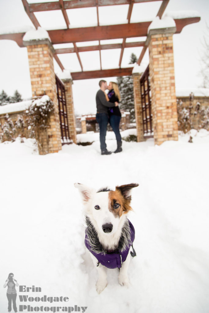 Winter Engagement Photography with Pets London Ontario