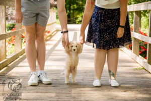 Puppy Family Photos London Ontario