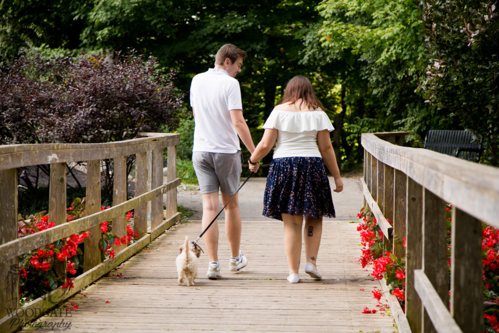 Puppy family photos london ontario