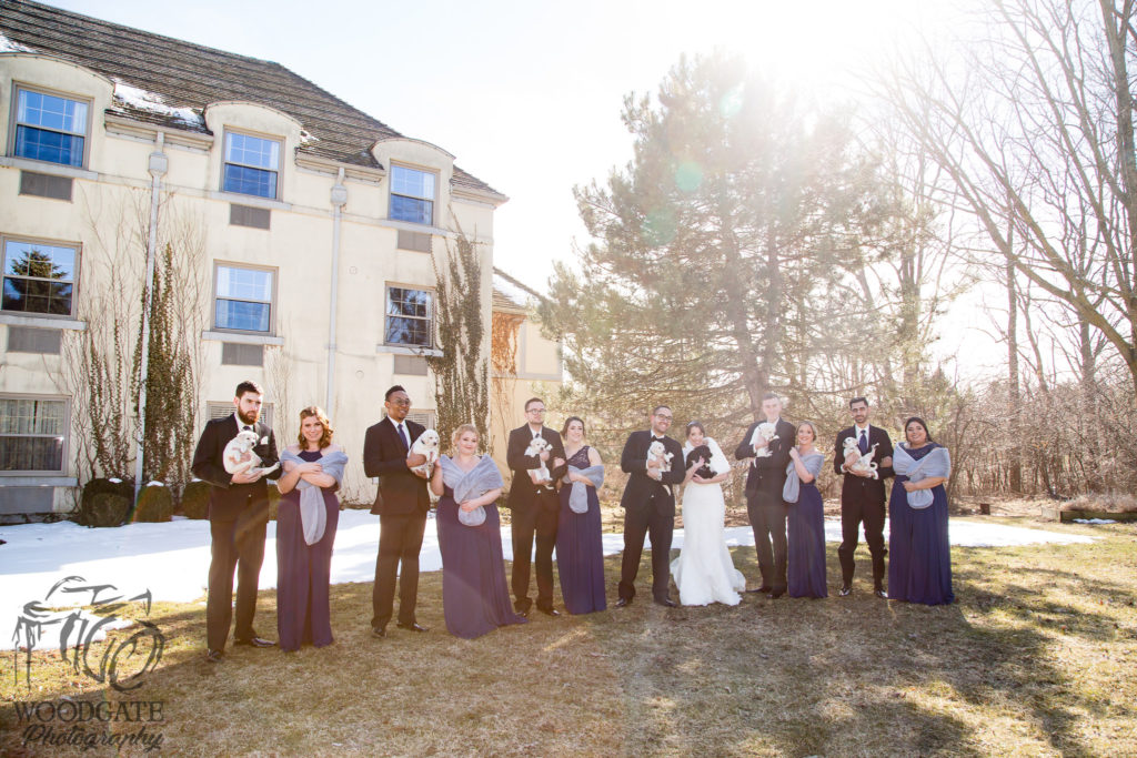 puppy wedding