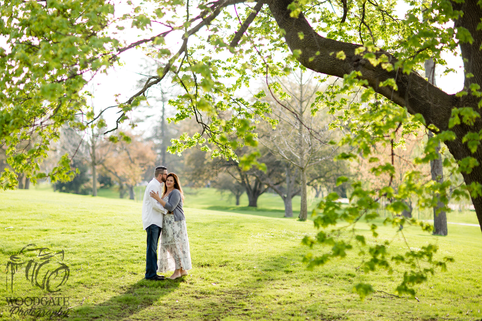 Magnolia Tree Engagement Photography London Ontario, spring engagement photography london ontario, engagement photos, spring engagement, magnolia tree photos london ontario, engagement session london ontario, engagement photos london ontario, family photography london ontario