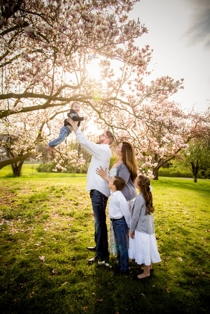 Magnolia Tree Engagement Photography London Ontario, spring engagement photography london ontario, engagement photos, spring engagement, magnolia tree photos london ontario, engagement session london ontario, engagement photos london ontario, family photography london ontario