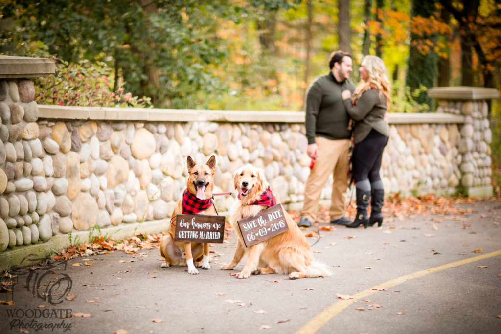 Fall Engagement Photos London Ontario, engagement photography london ontario, engagement photographer london ontario, pet photographer london ontario, dog photographer london ontario, photographer london ontario, outdoor photos london ontario, couple photograph london ontario