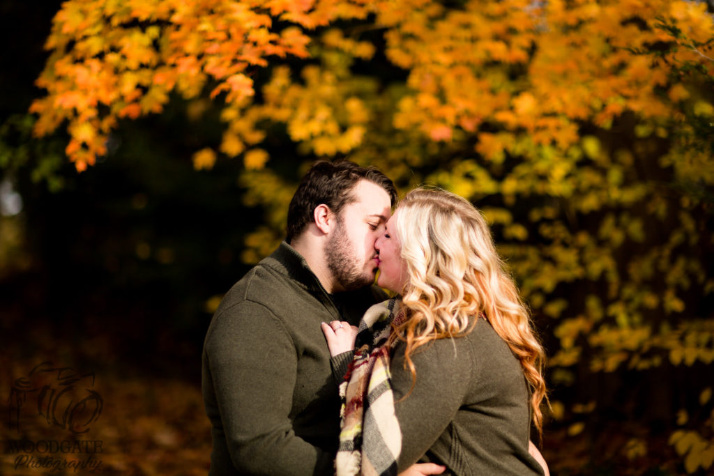 Fall Engagement Photos London Ontario, engagement photography london ontario, engagement photographer london ontario, pet photographer london ontario, dog photographer london ontario, photographer london ontario, outdoor photos london ontario, couple photograph london ontario