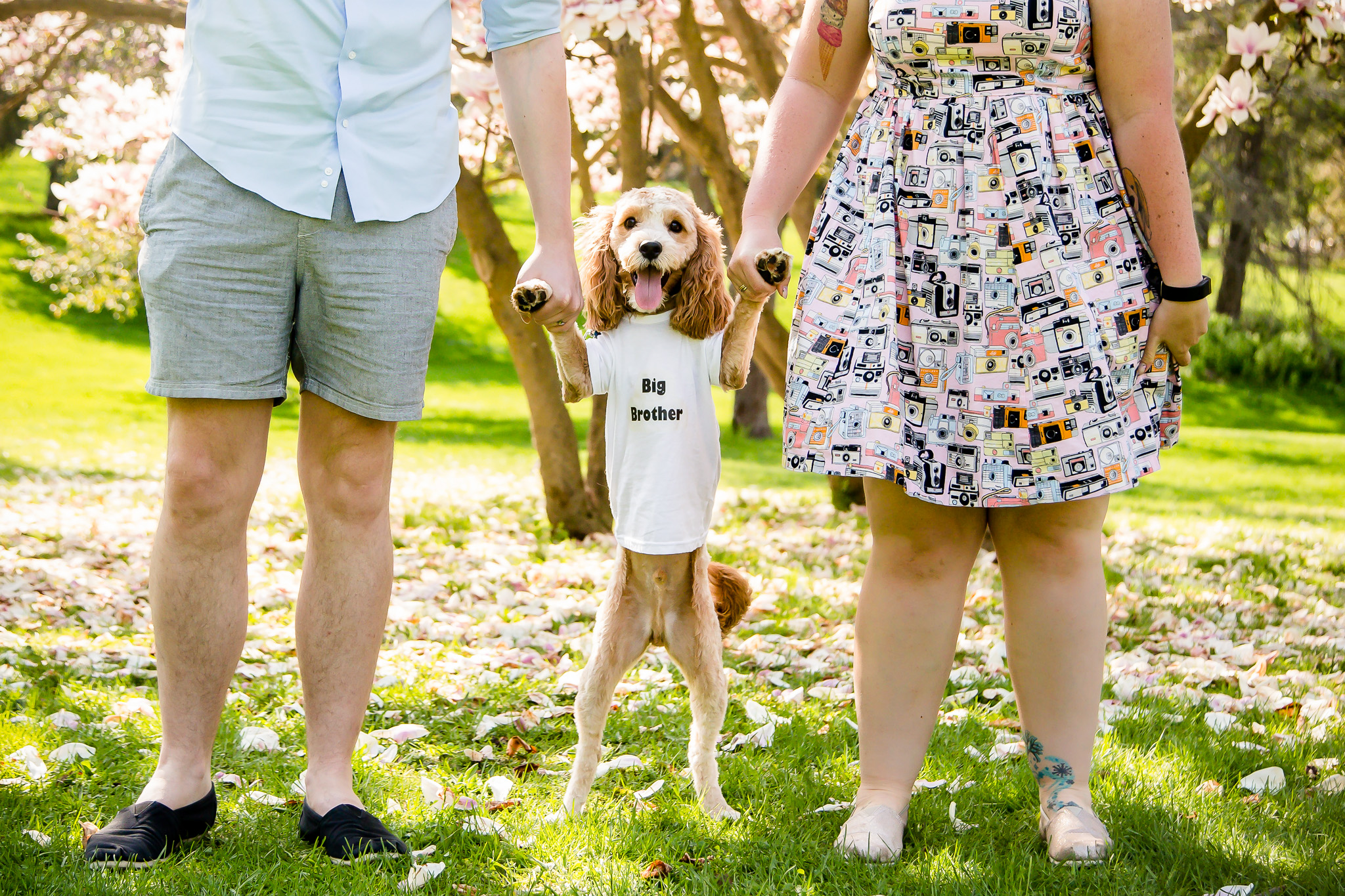 Baby announcement photography London Ontario