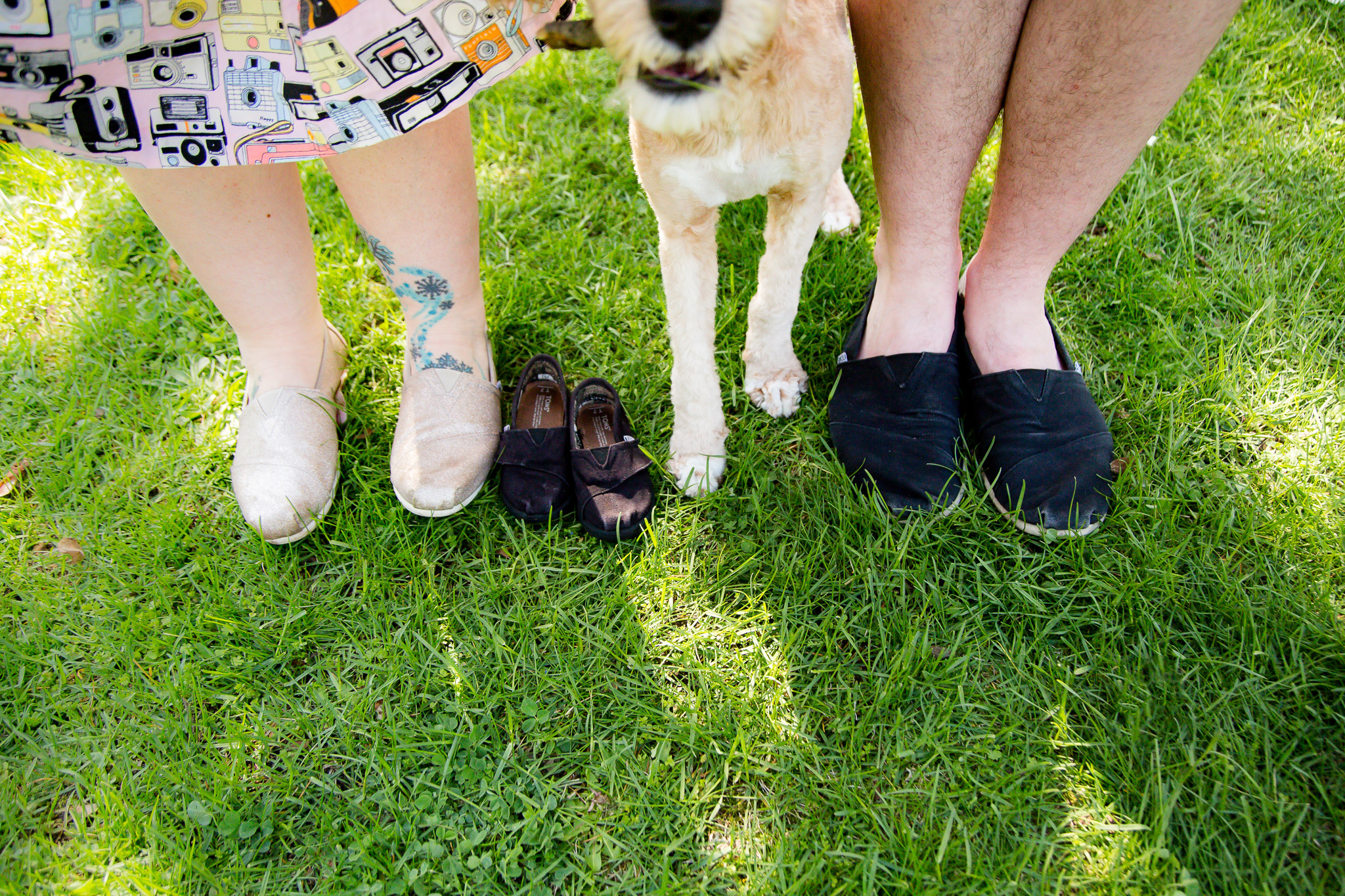 baby announcement london ontario