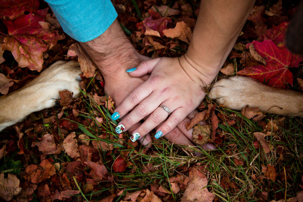 pet engagement photography london ontario