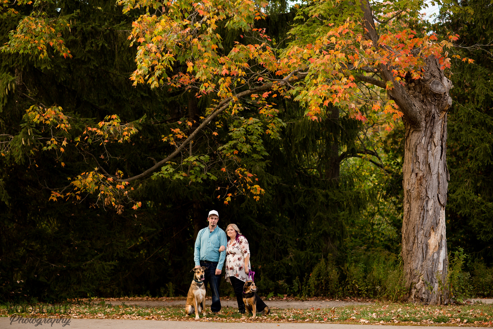 pet engagement photography london ontario