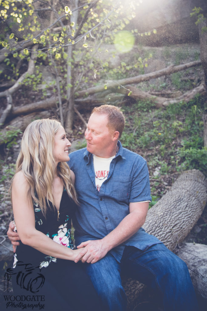 waterfall engagement ontario