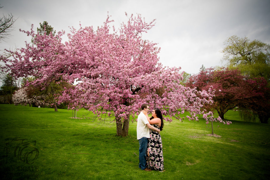 Spring engagement photos London Ontario