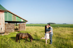 Farm engagement photography Ontario