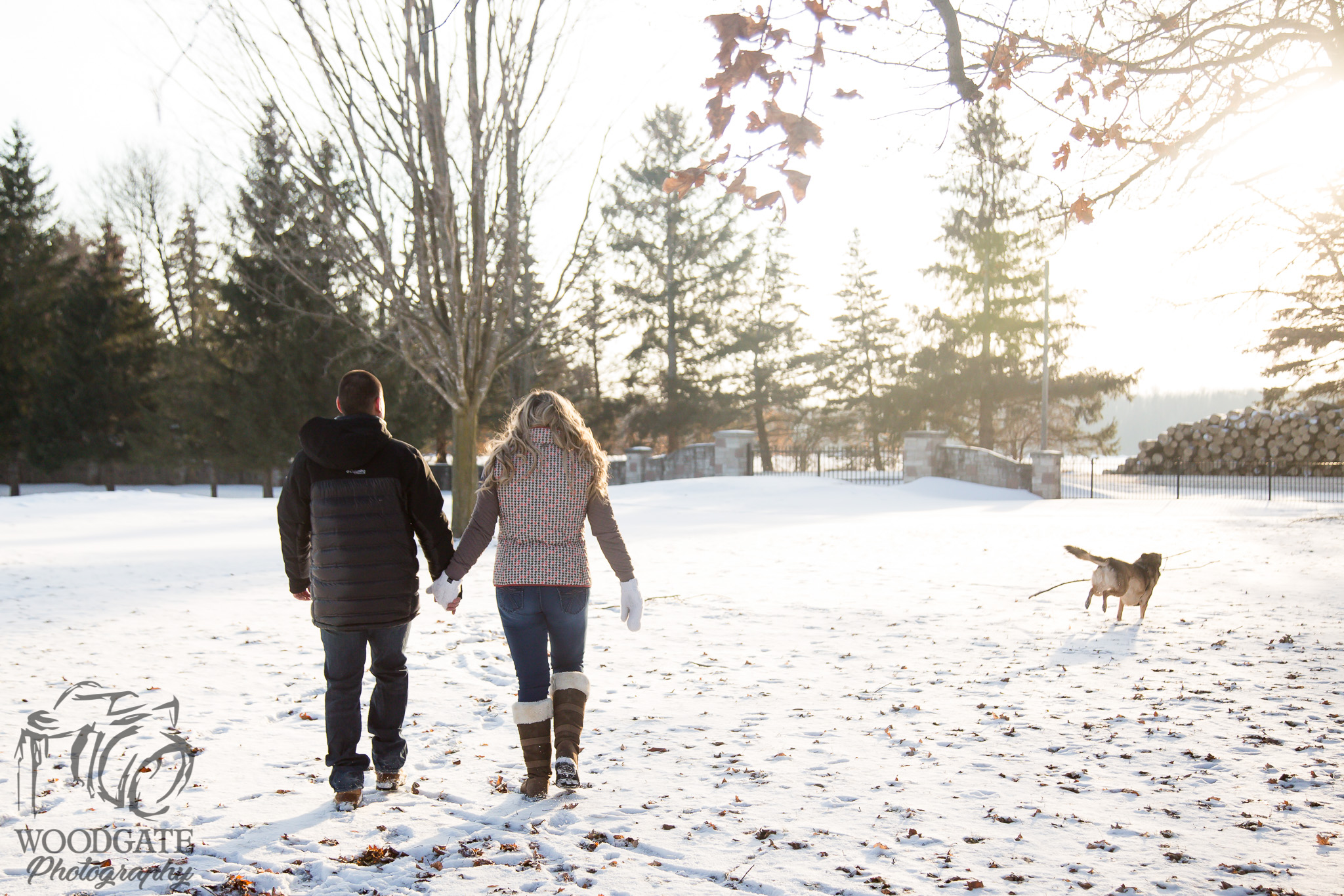 London Ontario Pet Photography