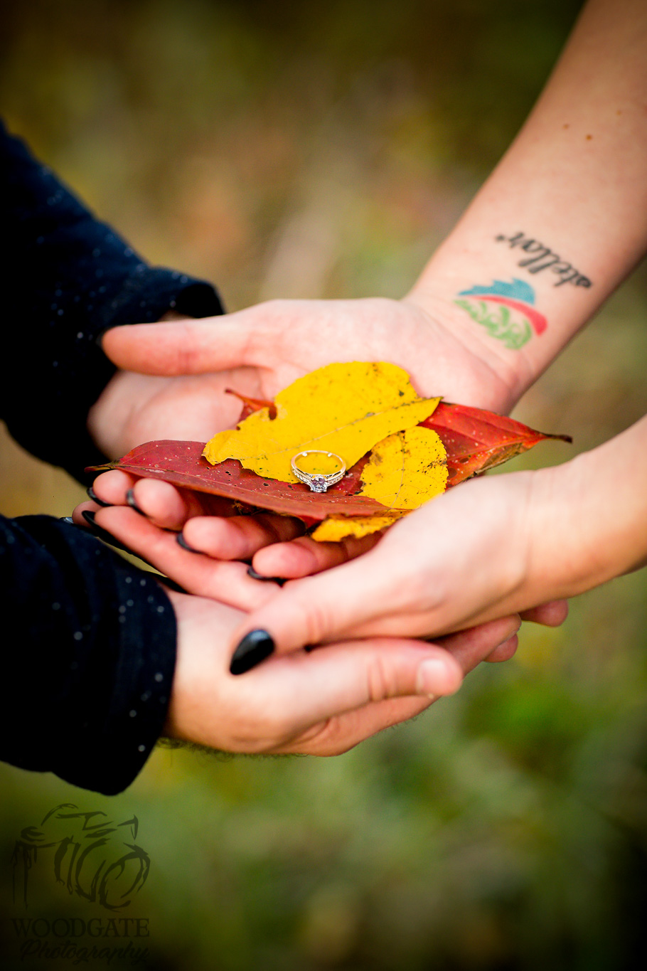 Fanshawe Conservation Engagement Photos