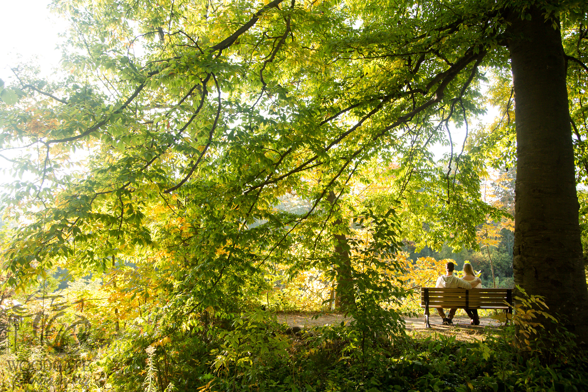 London Ontario fall engagement photography