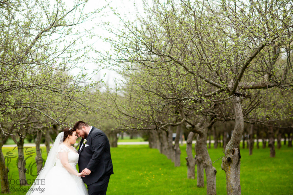 bellamere winery london ontario