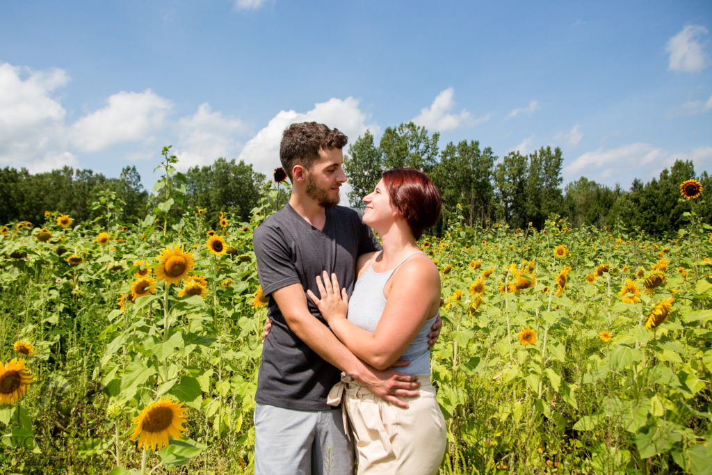 sunflower photographer london ontario