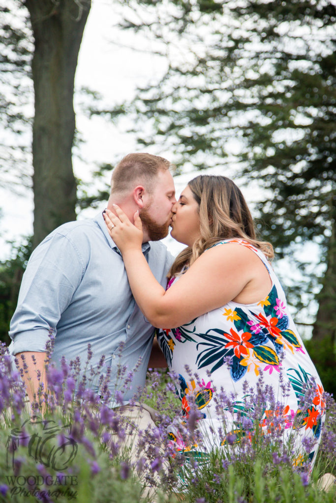 lavender photographer london ontario