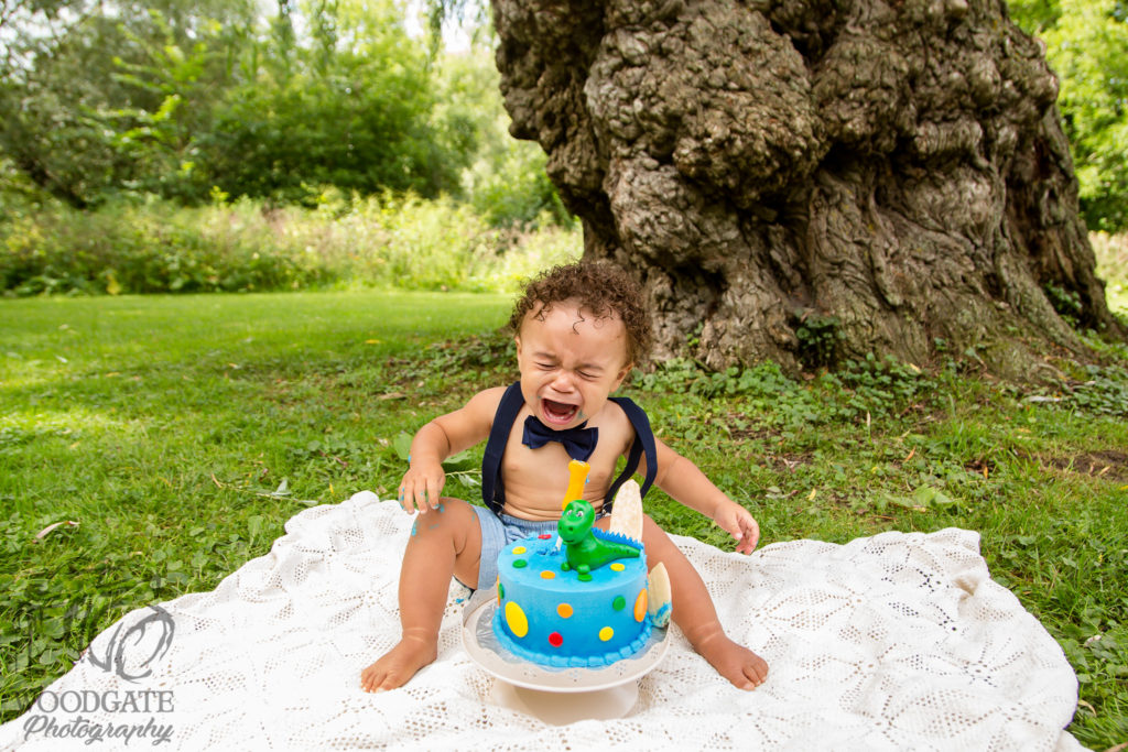 London Ontario Cake Smash