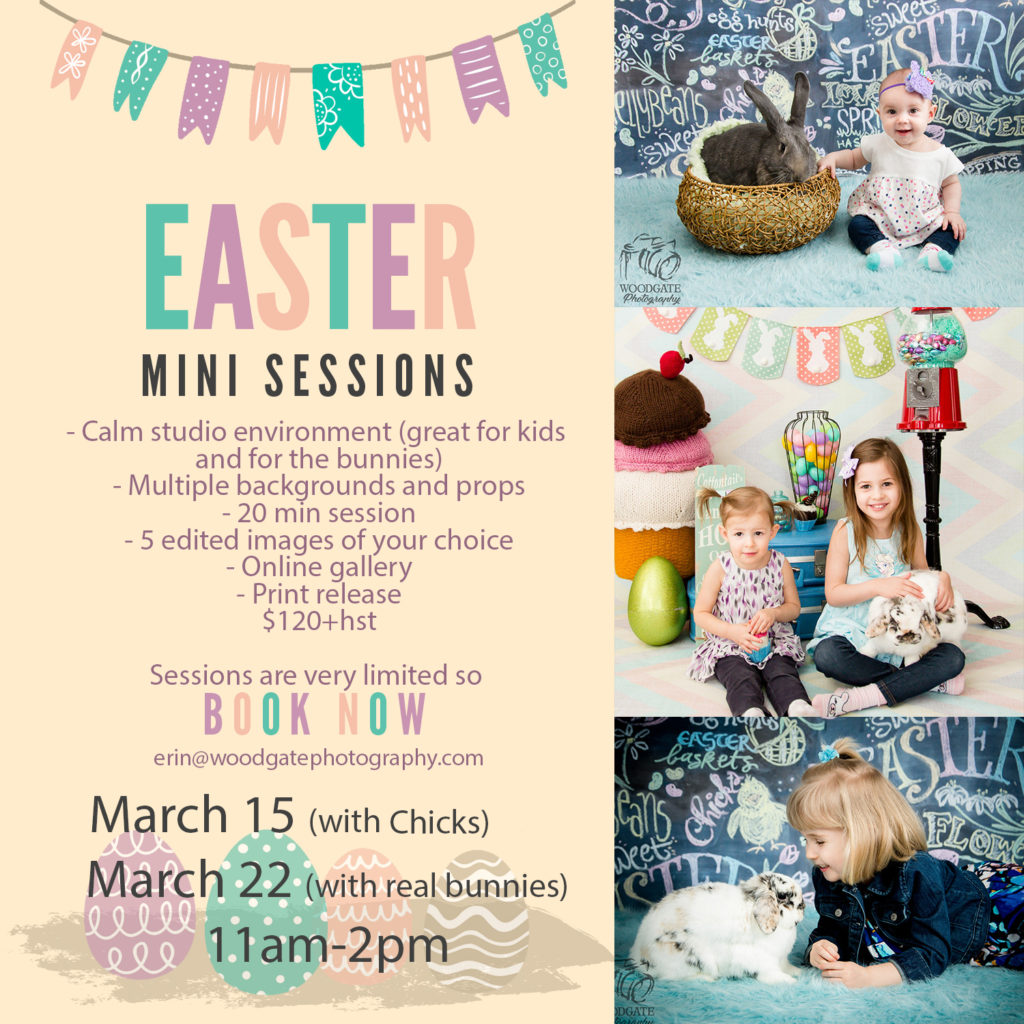 easter mini session london ontario