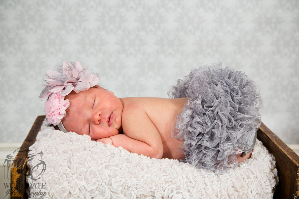 London Ontario Newborn Photos