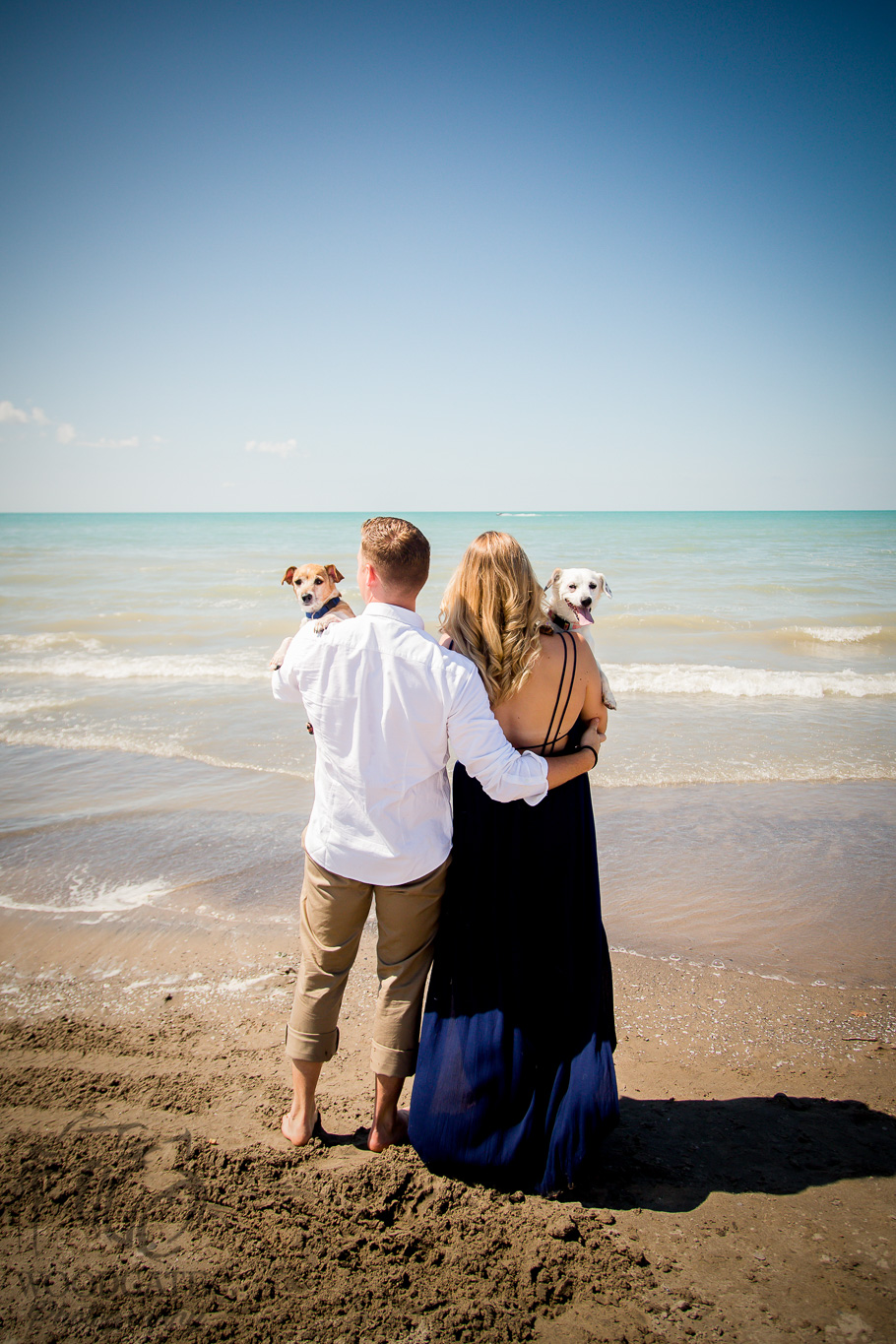 Pet Photographer London Ontario