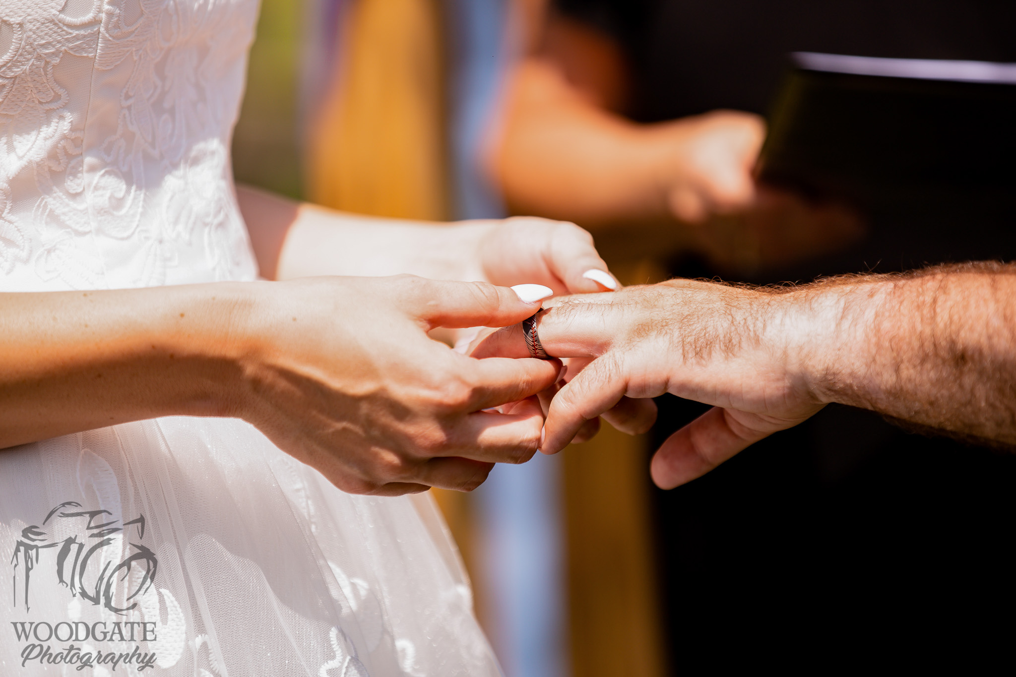 Backyard Wedding London Ontario