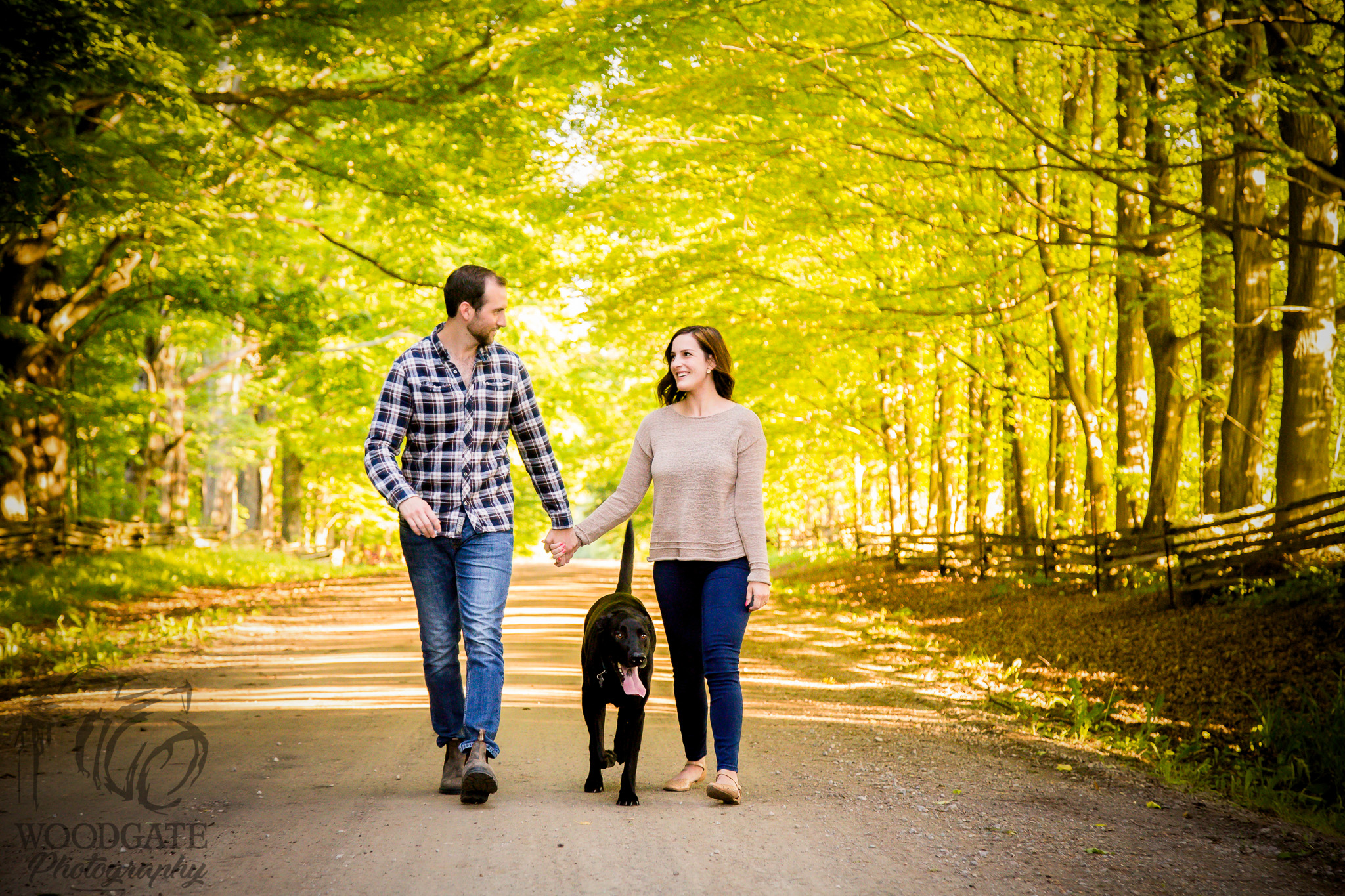 Engagement Photography Ontario