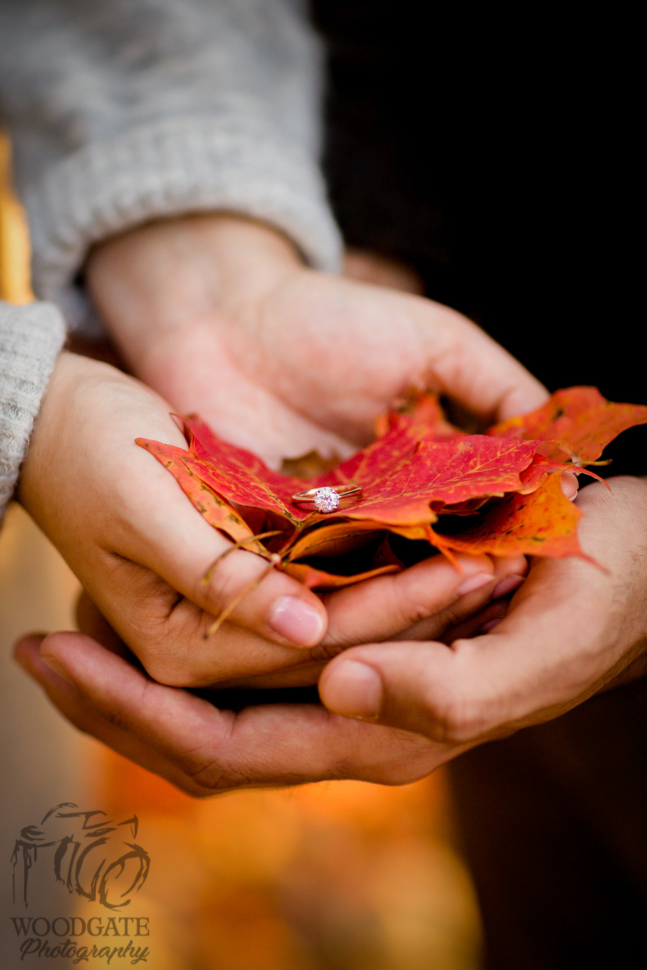 London Ontario fall engagement session