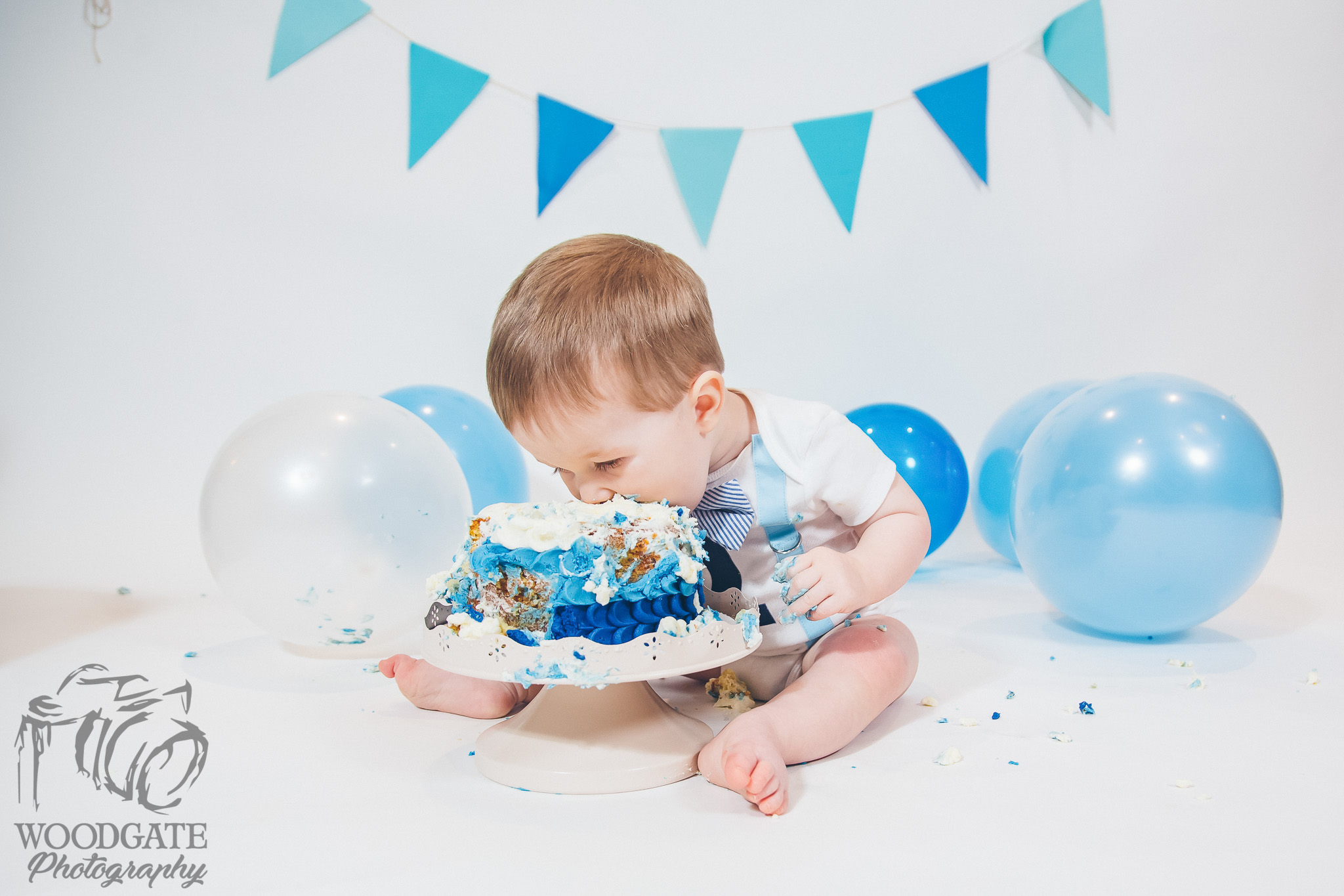 Best Cake Smash Photography London Ontario