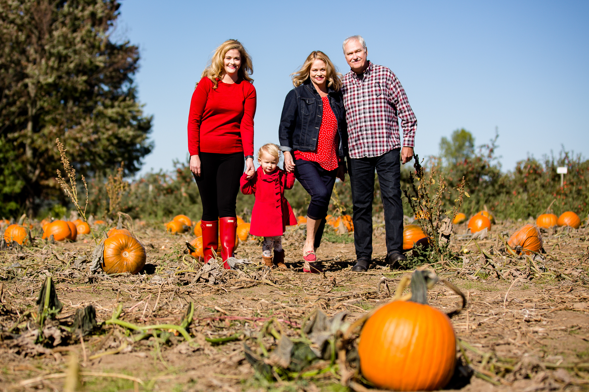 Best mini session photographer London Ontario