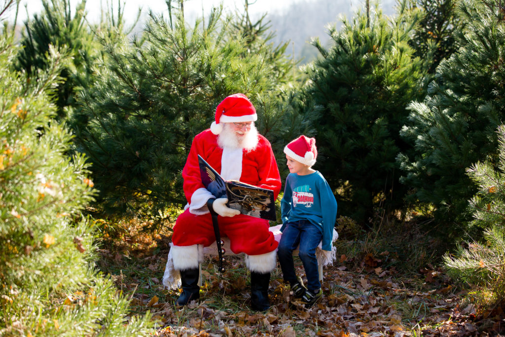 Best mini session photographer London Ontario