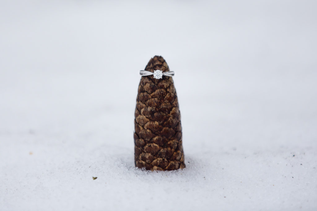 Winter engagement photos London Ontario