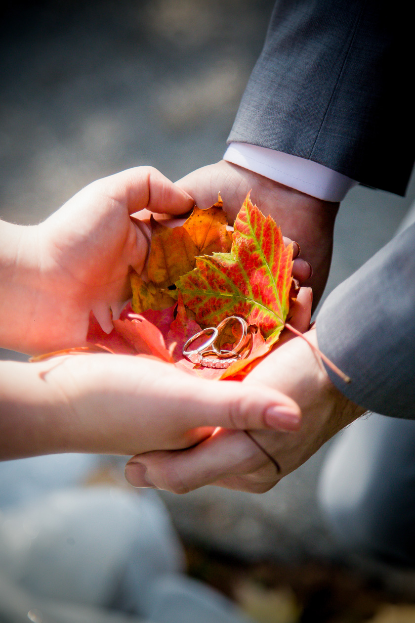 Elopement Photos London Ontario