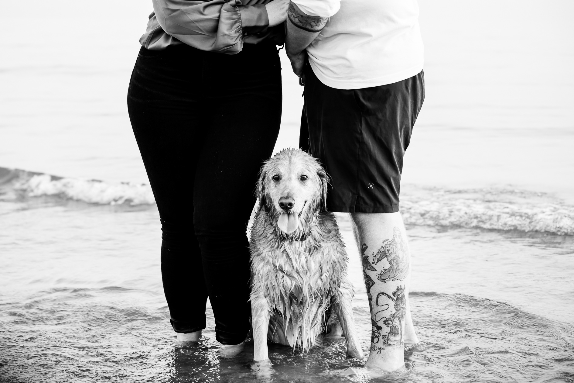 Port Burwell Provincial Park Engagement Sessiondog