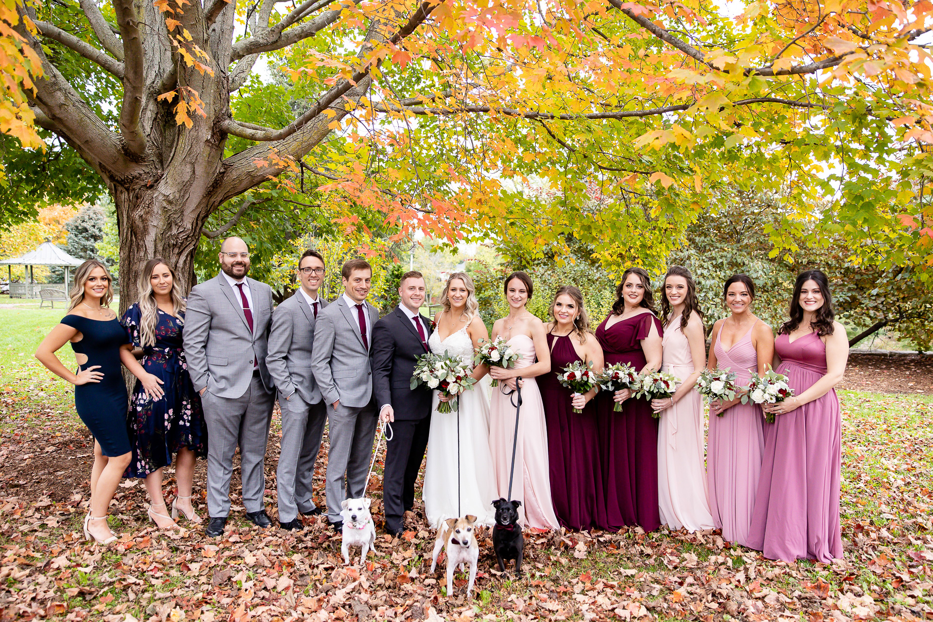 Wedding Party Photography London Ontario