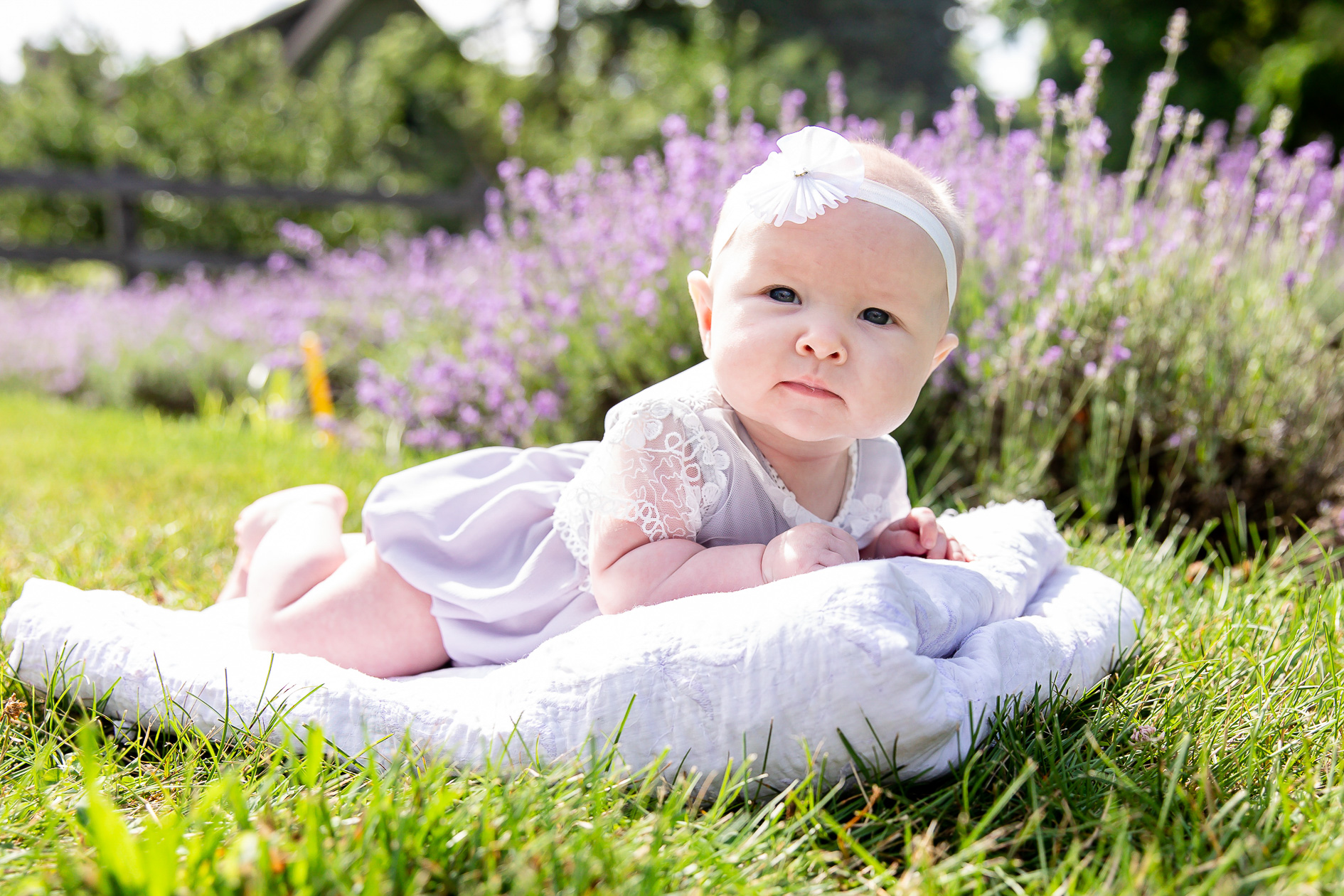 mini session photos London Ontario