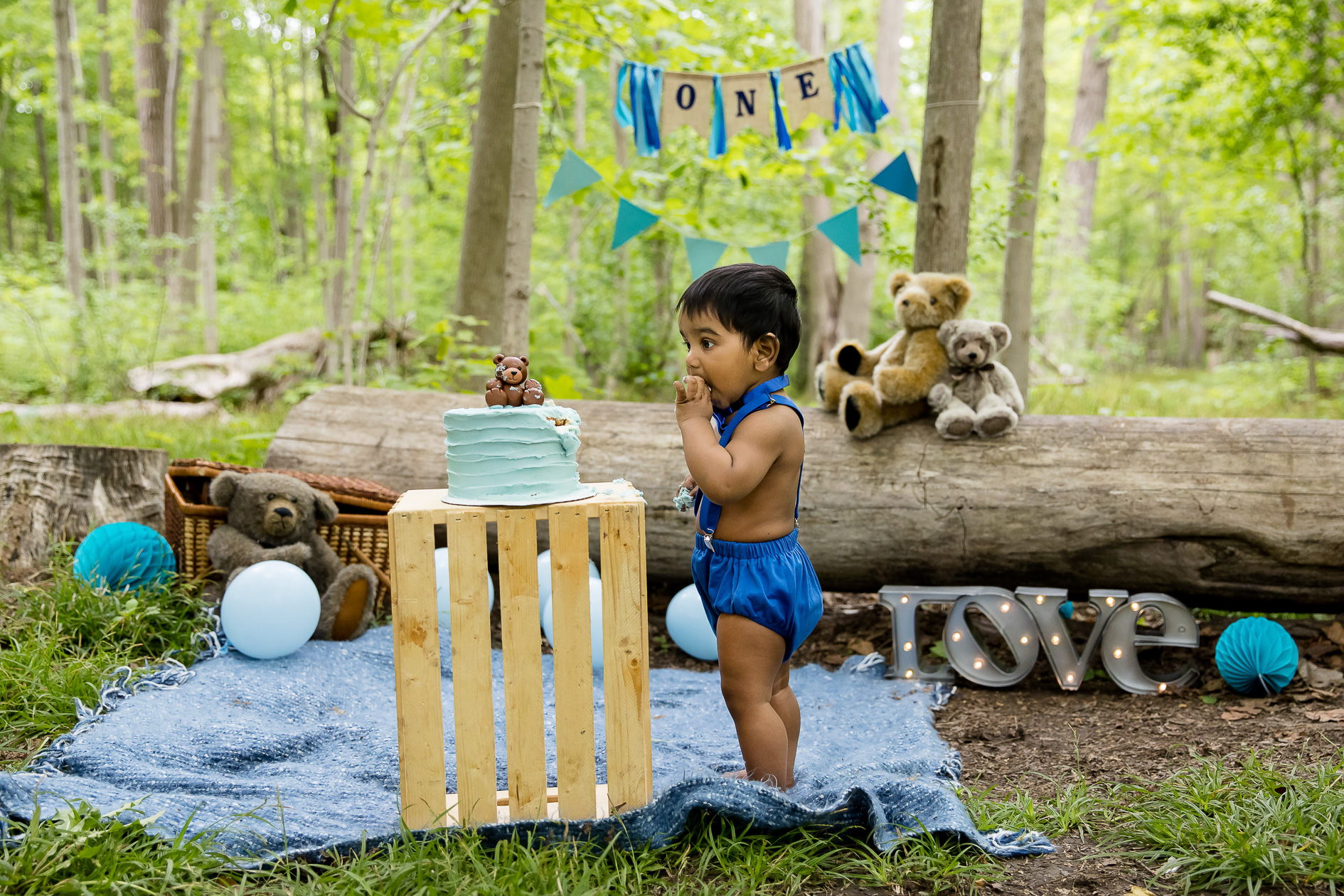 London Ontario Cake smash photos