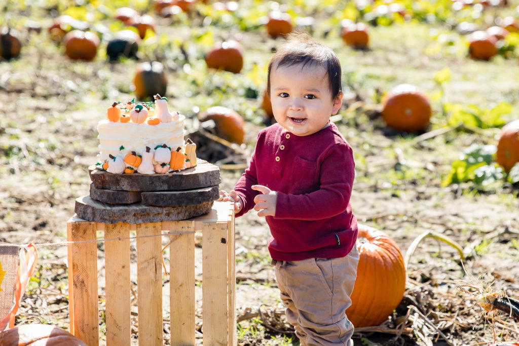 London Ontario Cake smash photos