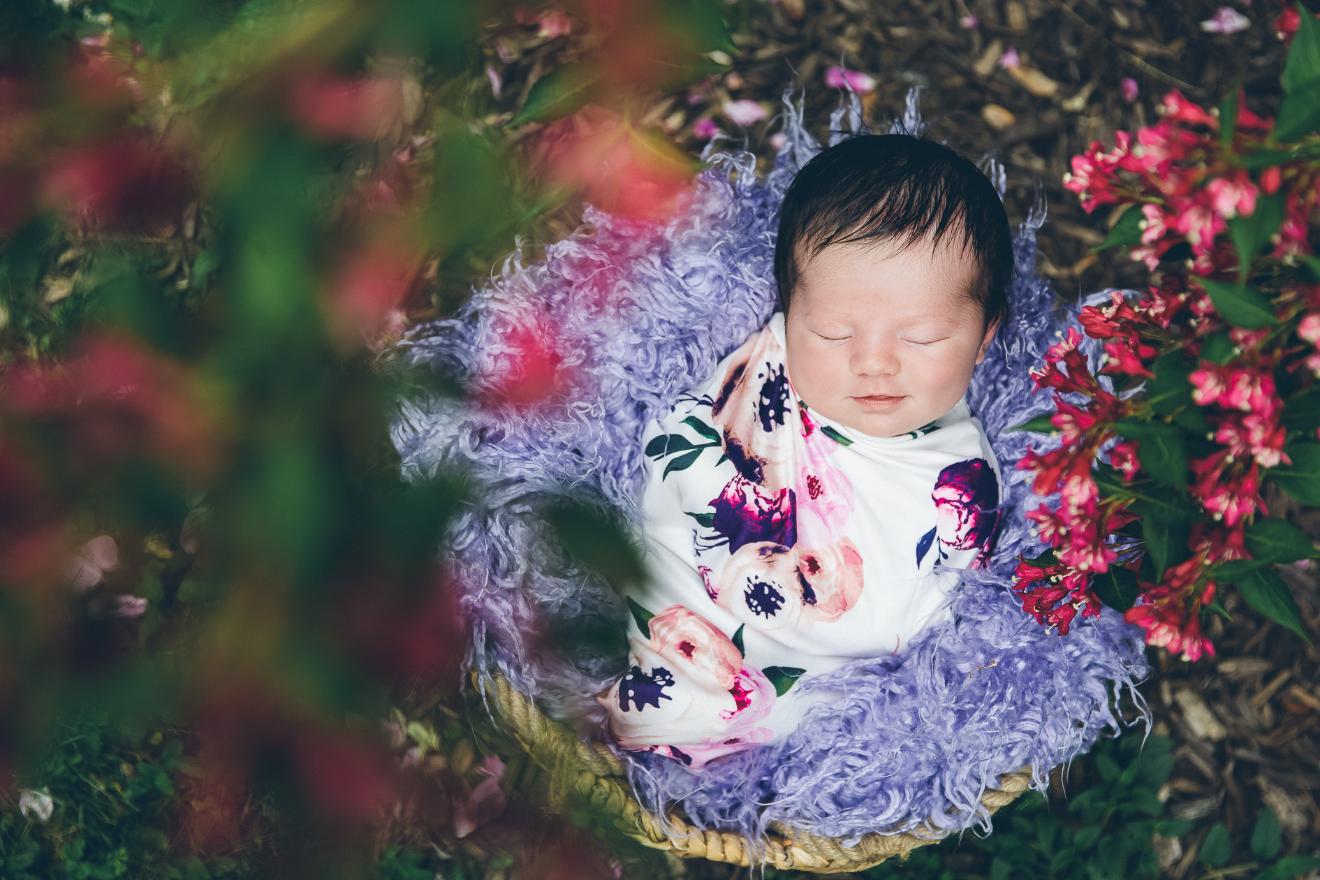 Best of 2021: Studio Newborn Photos London Ontario