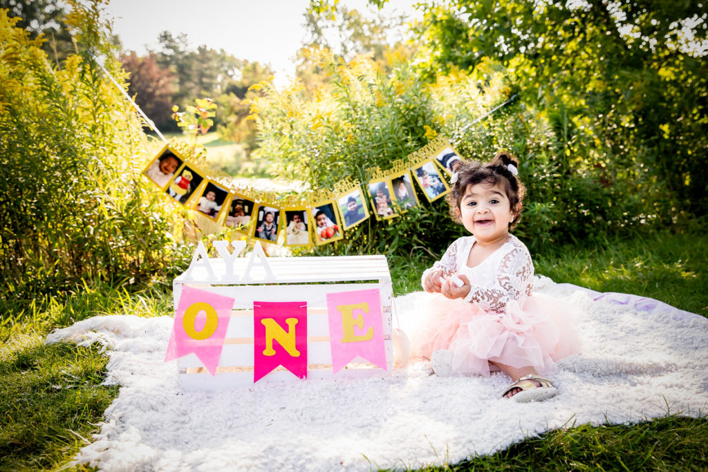 London Ontario Cake smash photos