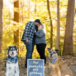 Fall engagement session with dogs London Ontario