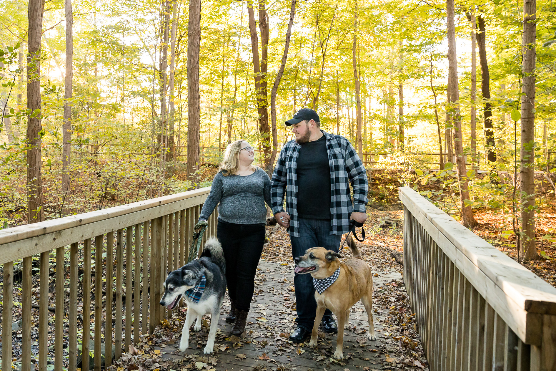 Fall engagement session with dogs London Ontario