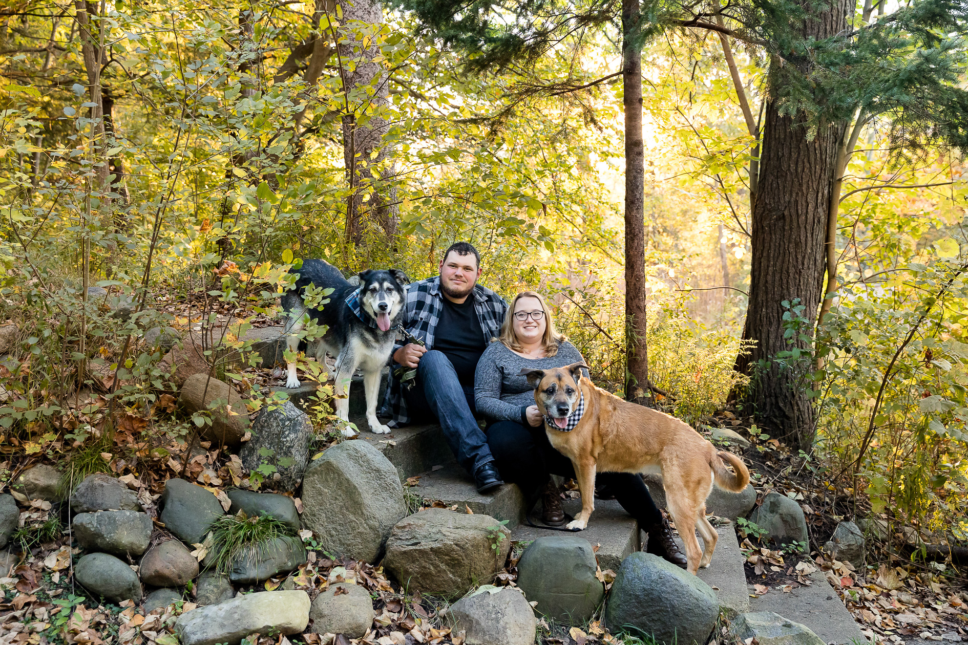 Fall engagement session with dogs London Ontario